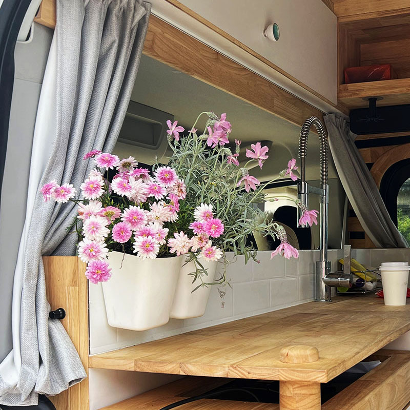 Pink daisies in a pot beside the van's kitchen sink