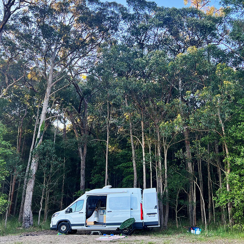 The campervan parked among tall gum trees with its doors open