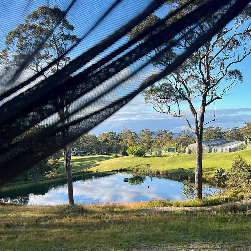 View through the van's flyscreen over a still dam, green paddocks and gum trees